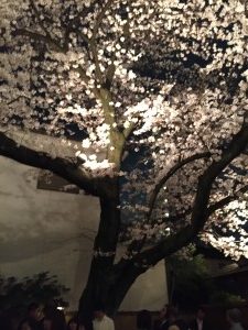 玉家 夜桜BAR