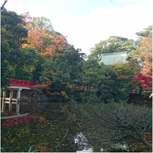氷川神社の紅葉