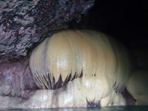 社員旅行4日目 パンプキン