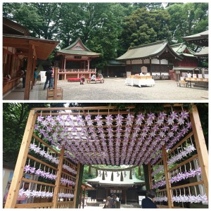 松本醤油と氷川神社