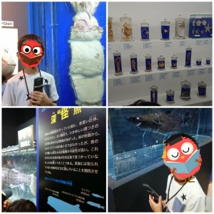 20170722232316_p