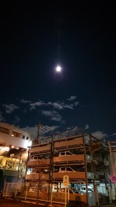11月も始まり
