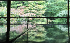京都大阪の旅２日目 瑠璃光院