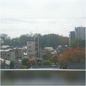 お店からの紅葉が見頃です！
