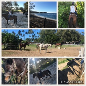 オアフ島 乗馬