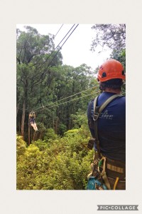 ZIPLINE