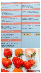 拘りって大切ですね!