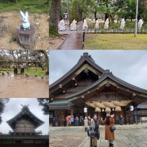 サンライズ出雲、出雲大社。